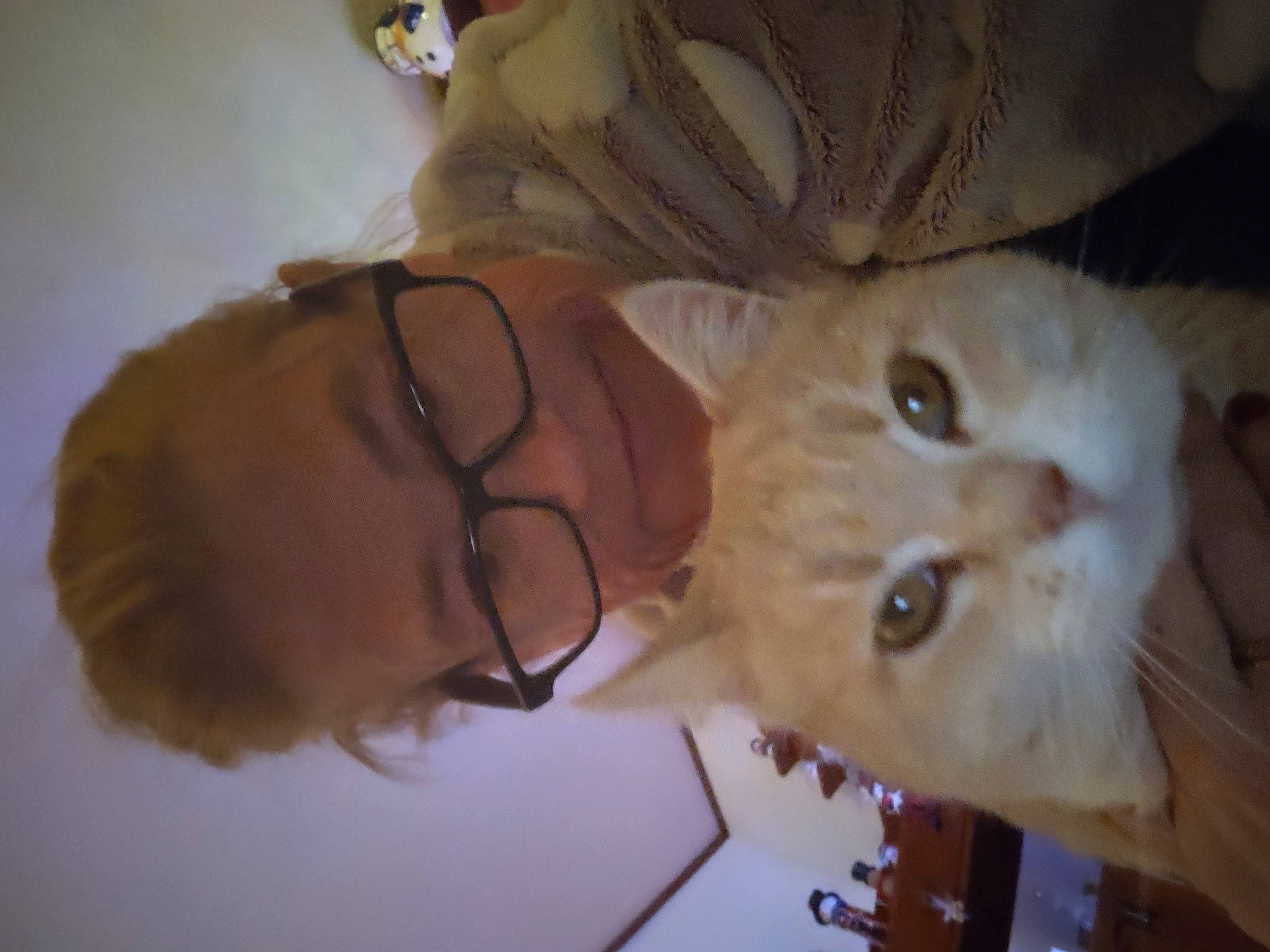 Heidi joined the competition — help win amazing prizes! canidae, carnivore, cat, child, companion_dog, dog_breed, domestic_short_haired_cat, ear, eyewear, fawn, felidae, fur, nose, small_to_medium_sized_cats, sporting_group, tail, whiskers, wood