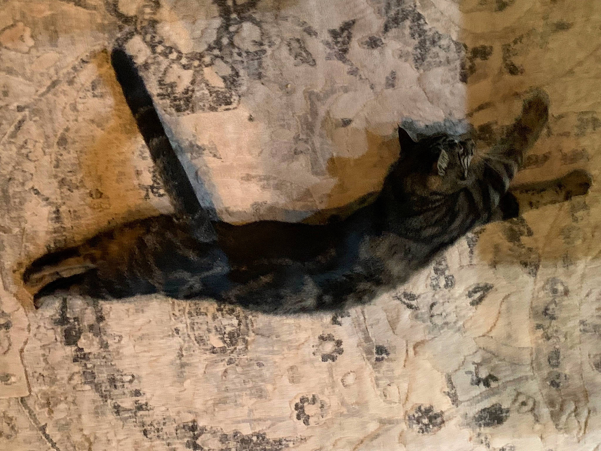 Marlow Brandow joined the competition — help win amazing prizes! ancient_history, art, artifact, bedrock, concrete, felidae, font, fossil, history, illustration, metal, rock, sculpture, shadow, soil, tail, terrestrial_animal, trunk, visual_arts, wood