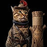 cat, tabby, costume, hat, feather, collar, sword, wooden_post, engraving, green_eyes, portrait, animal, pet, dramatic_lighting, black_background, feline, accessory, leather_strap, medal, closeup