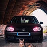 Tigrou a rejoint le concours — aidez-le/la à gagner de superbes lots ! car, volkswagen, cat, tabby_cat, vehicle, headlights, road, stone_arch, outdoor, animal, pet, street, parking, daylight, license_plate, side_mirror, asphalt, relaxed, mammal, transportation