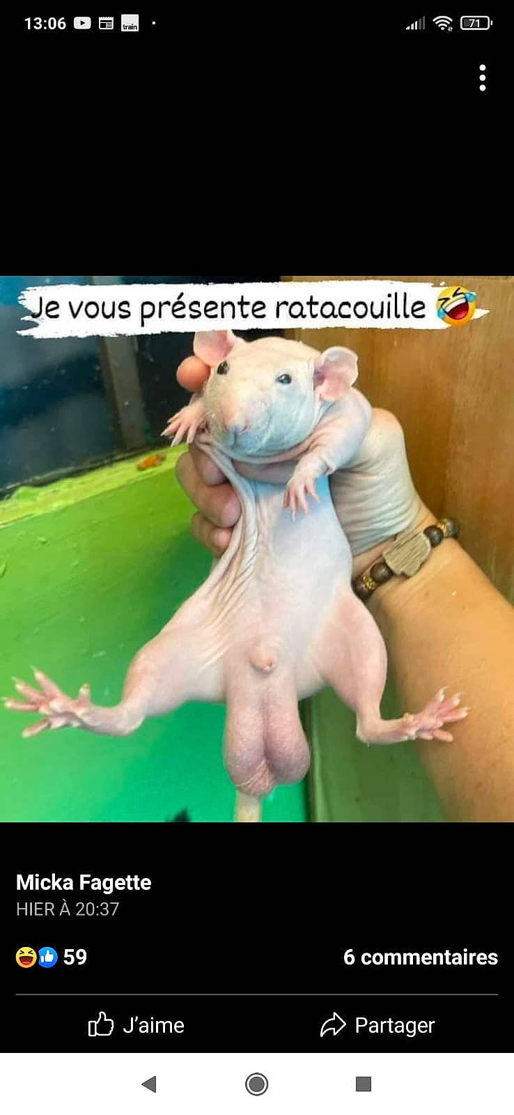 Ratacouille