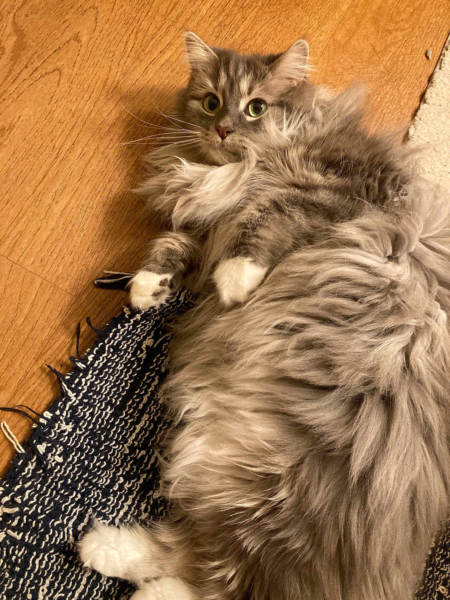 Louise