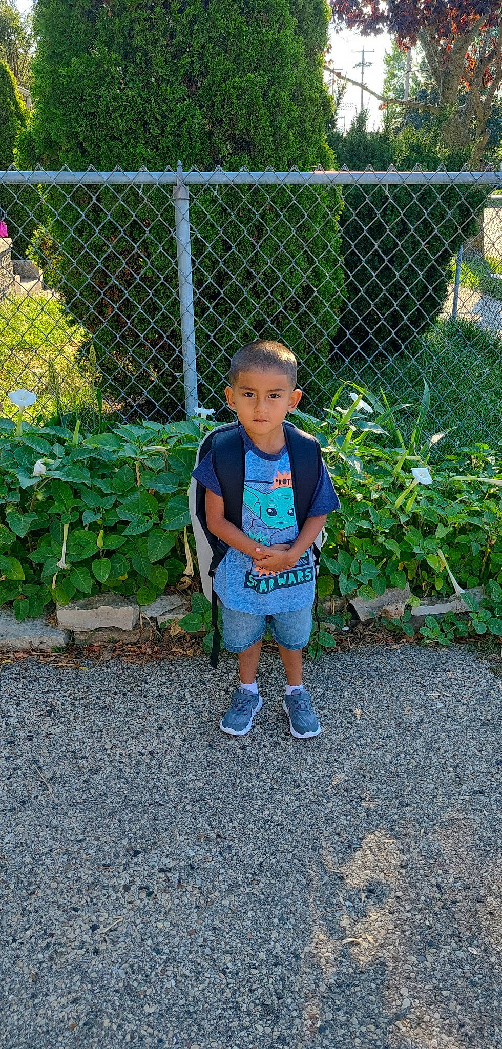 Sotero is registered to the contest to win money with this photo: asphalt, baby_toddler_clothing, chain_link_fencing, electric_blue, fence, garden, grass, groundcover, home_fencing, leisure, mesh, person, plant, road_surface, shorts, sidewalk, sleeve, t_shirt, toddler, tree