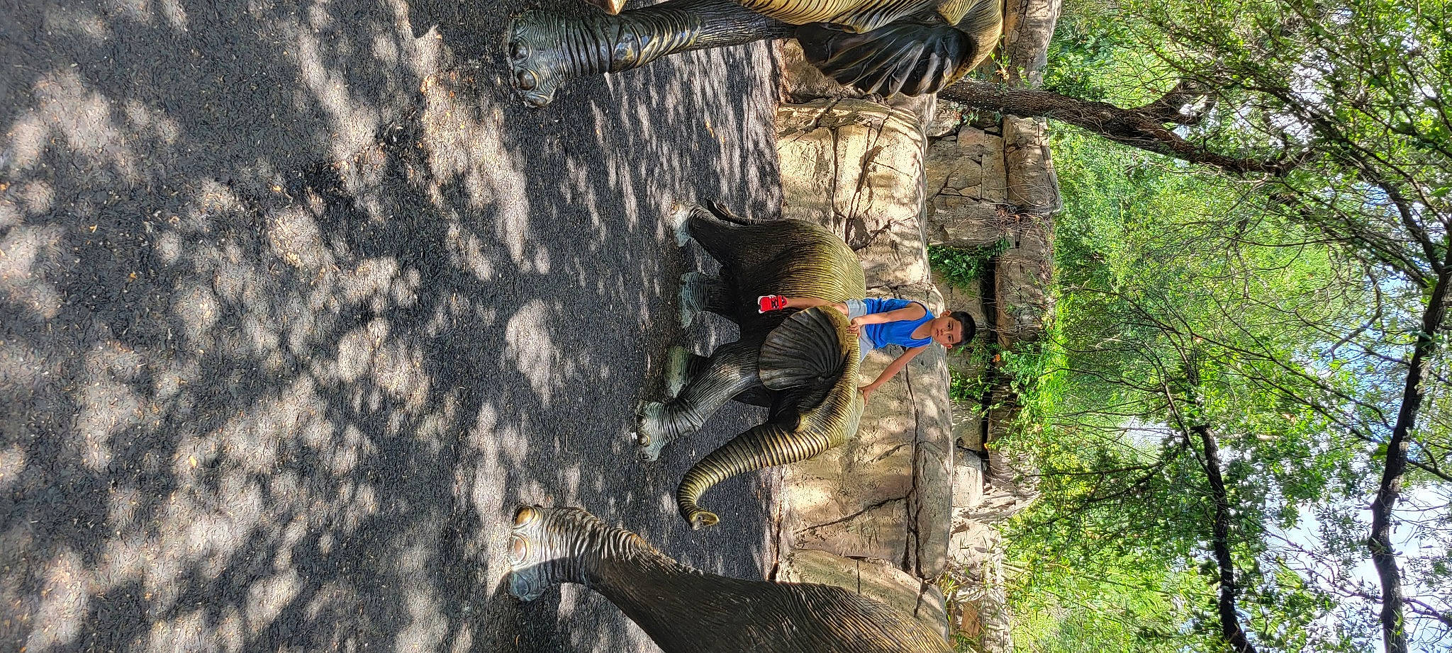 Sotero is registered to the contest to win money with this photo: adventure, extreme_sport, forest, grass, jungle, leisure, northern_hardwood_forest, pack_animal, people_in_nature, person, plant, recreation, soil, sporting_group, tail, tree, trunk, wildlife, wood, woodland