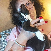Aria a rejoint le concours — aidez-le/la à gagner de superbes lots ! black_and_white_cat, bracelet, cat, curly_hair, cute, face, furniture, glasses, holding, home, indoor, jewelry, kitten, person, pet, pink_shirt, portrait, red_nails, smile, woman