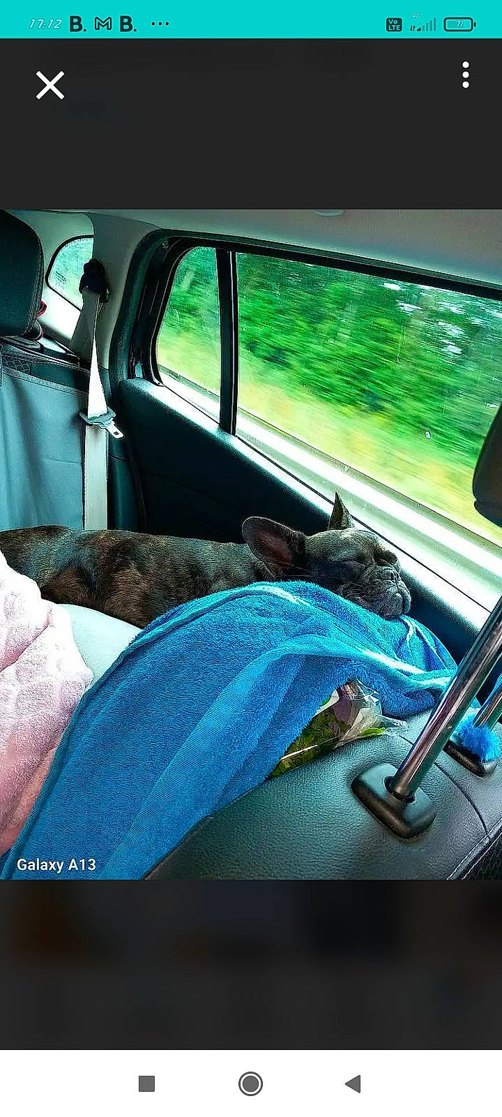 Tikie a rejoint le concours — aidez-le/la à gagner de superbes lots ! auto_part, automotive_exterior, automotive_lighting, automotive_window_part, car_seat, car_seat_cover, comfort, electric_blue, family_car, glass, mammal, mode_of_transport, motor_vehicle, public_transport, tints_and_shades, vehicle, vehicle_door, vertebrate, window, windshield