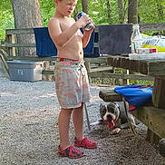 Logan Keith is registered to the contest to win money with this photo: animal, boy, canine, child, clothing, face, grass, head, male, nature, outdoors, park, person, photography, plant, portrait, shorts, soil, summer, tree