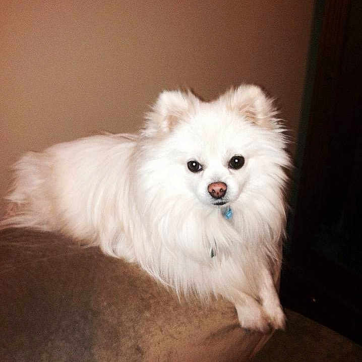 Tw is registered to the contest to win money with this photo: