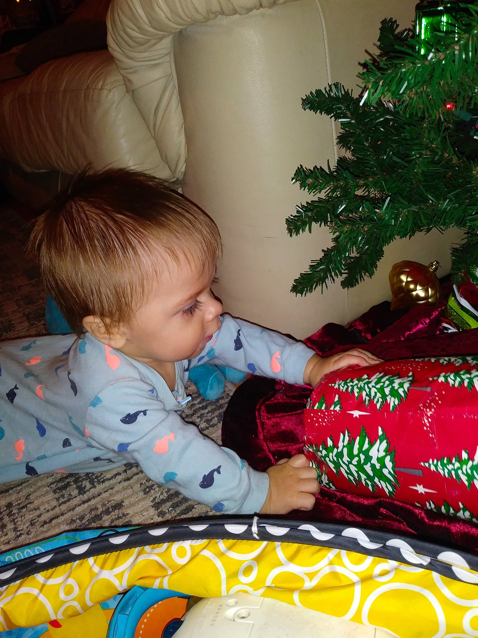 Vincent Theodore Chavez is registered to the contest to win money with this photo: child, christmas, event, fun, holiday, infant, person, play, toddler