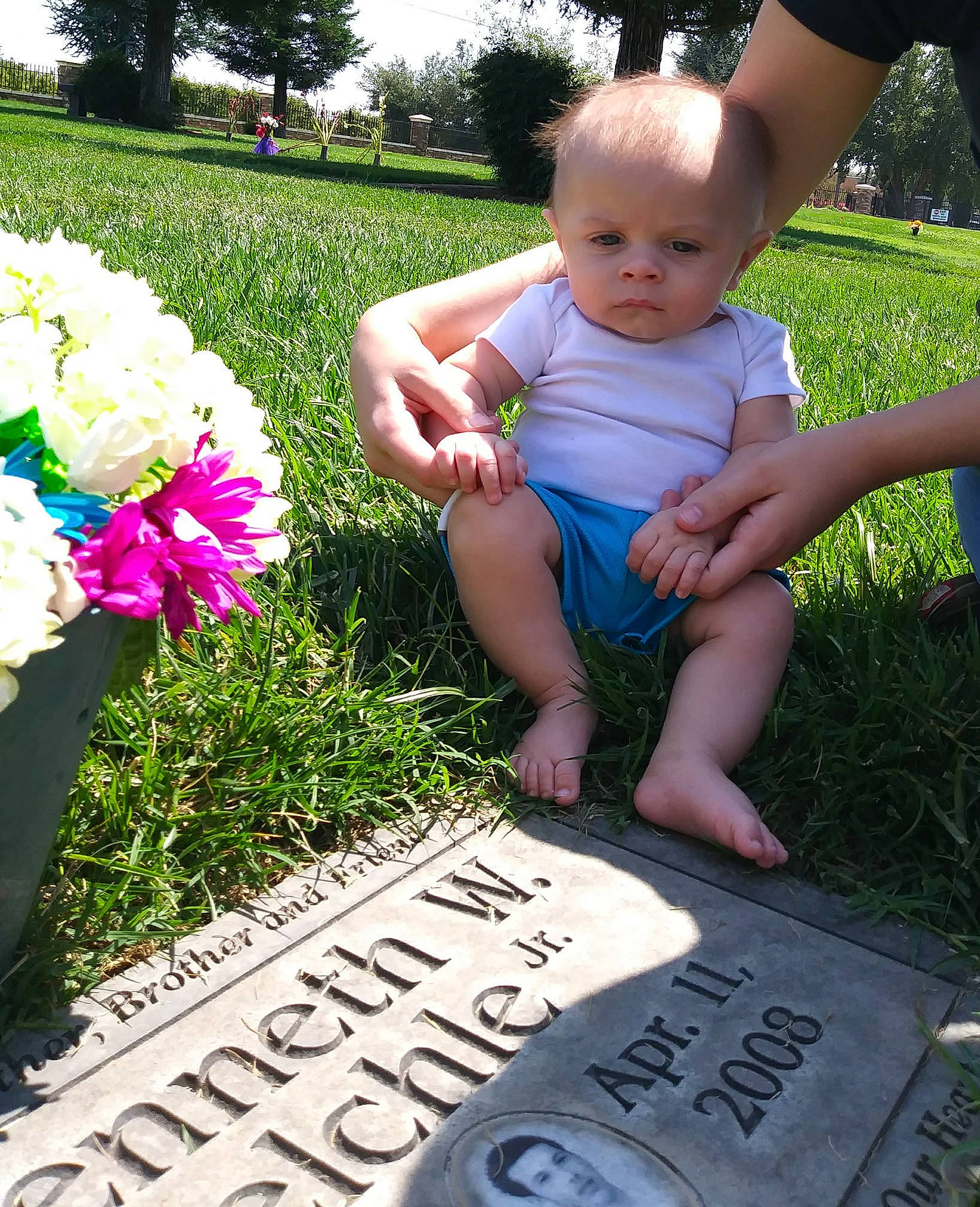 Vincent Theodore Chavez joined the competition — help win amazing prizes! child, day, flower, fun, garden, girl, grass, grave, lawn, person, plant, play, recreation, sitting, spring, summer, toddler, tree, vacation