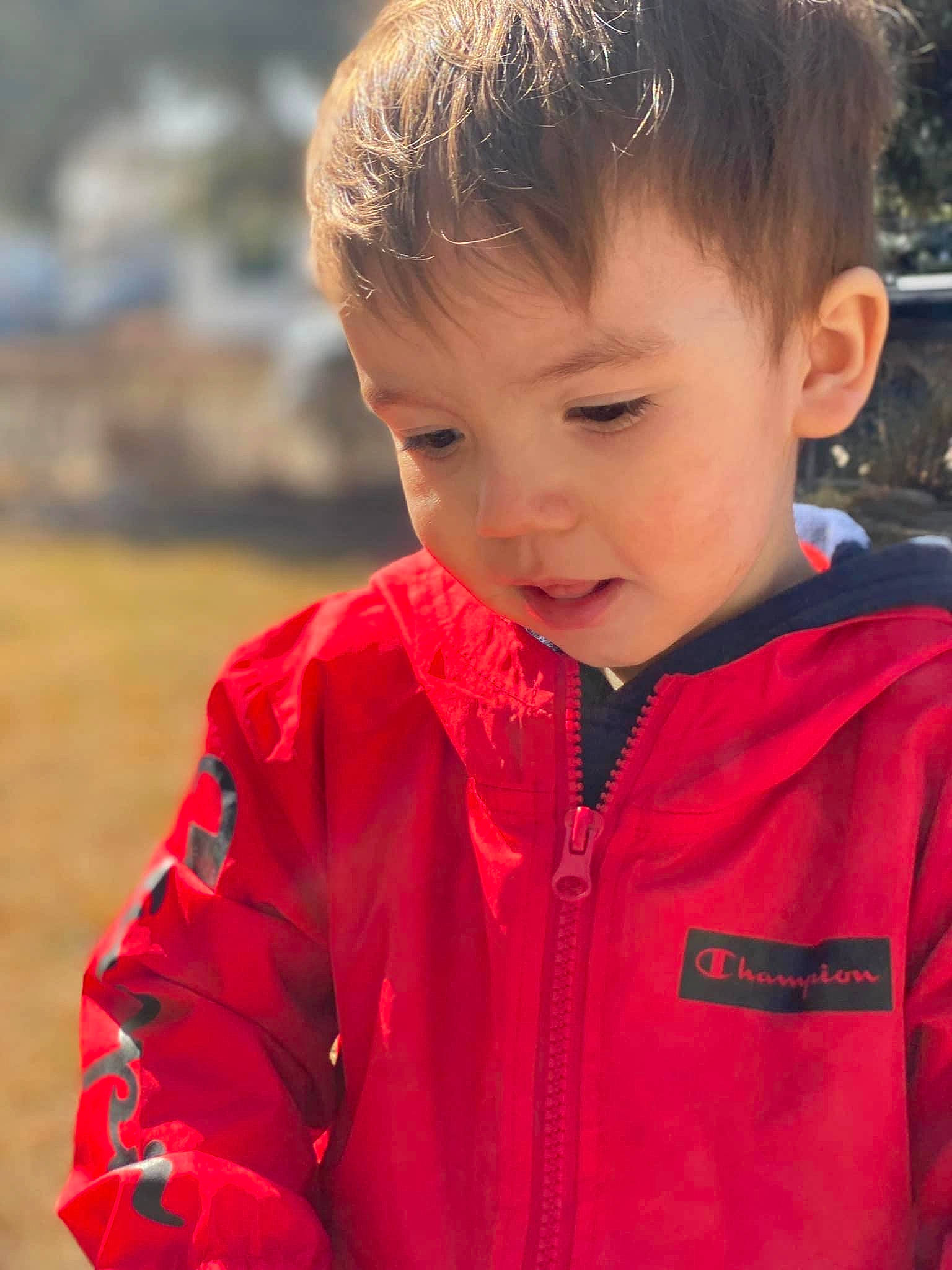 Kylan is registered to the contest to win money with this photo: cheek, child, eye, forehead, fun, grass, happy, hood, hoodie, iris, jacket, magenta, neck, nose, person, portrait_photography, skin, sleeve, toddler, windbreaker