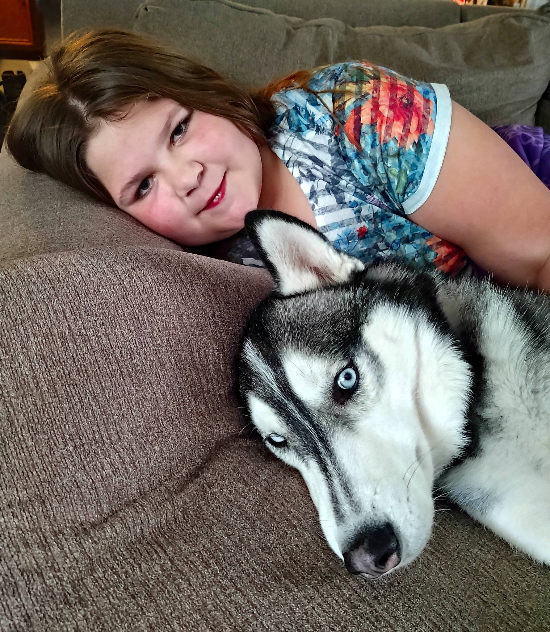 Memphis joined the competition — help win amazing prizes! carnivore, comfort, companion_dog, couch, dog, dog_breed, eye, fawn, flooring, fur, grey, happy, iris, linens, mammal, siberian_husky, sled_dog, smile, snout, whiskers