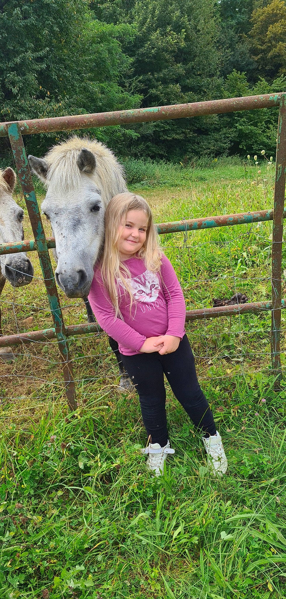 Lina a rejoint le concours — aidez-le/la à gagner de superbes lots ! fence, grass, grassland, happy, horse, horse_supplies, joy, landscape, livestock, mane, meadow, pack_animal, pasture, people_in_nature, person, plant, ranch, rural_area, smile, split_rail_fence