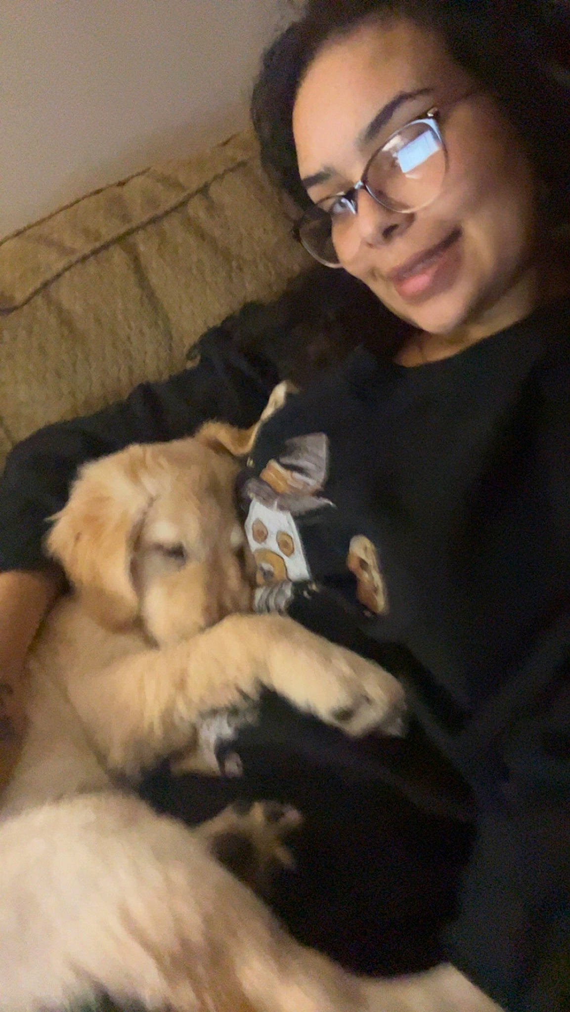 Oakley May joined the competition — help win amazing prizes! canidae, carnivore, comfort, companion_dog, dog, dog_breed, eyewear, fawn, felidae, fur, glasses, hair, head, lap, small_to_medium_sized_cats, smile, toy, toy_dog, vision_care, whiskers