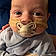 Arlo