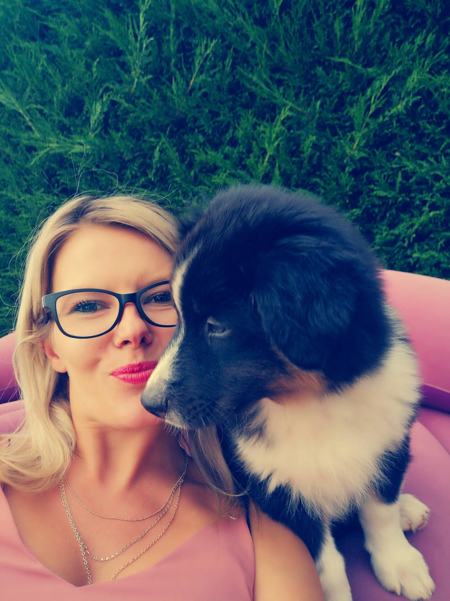 Romy participe au concours pour gagner de l'argent avec cette photo : australian_shepherd, border_collie, canidae, carnivore, companion_dog, dog, dog_breed, fur, glasses, karakachan_dog, landseer, love, miniature_australian_shepherd, nose, photography, puppy, puppy_love, sporting_group