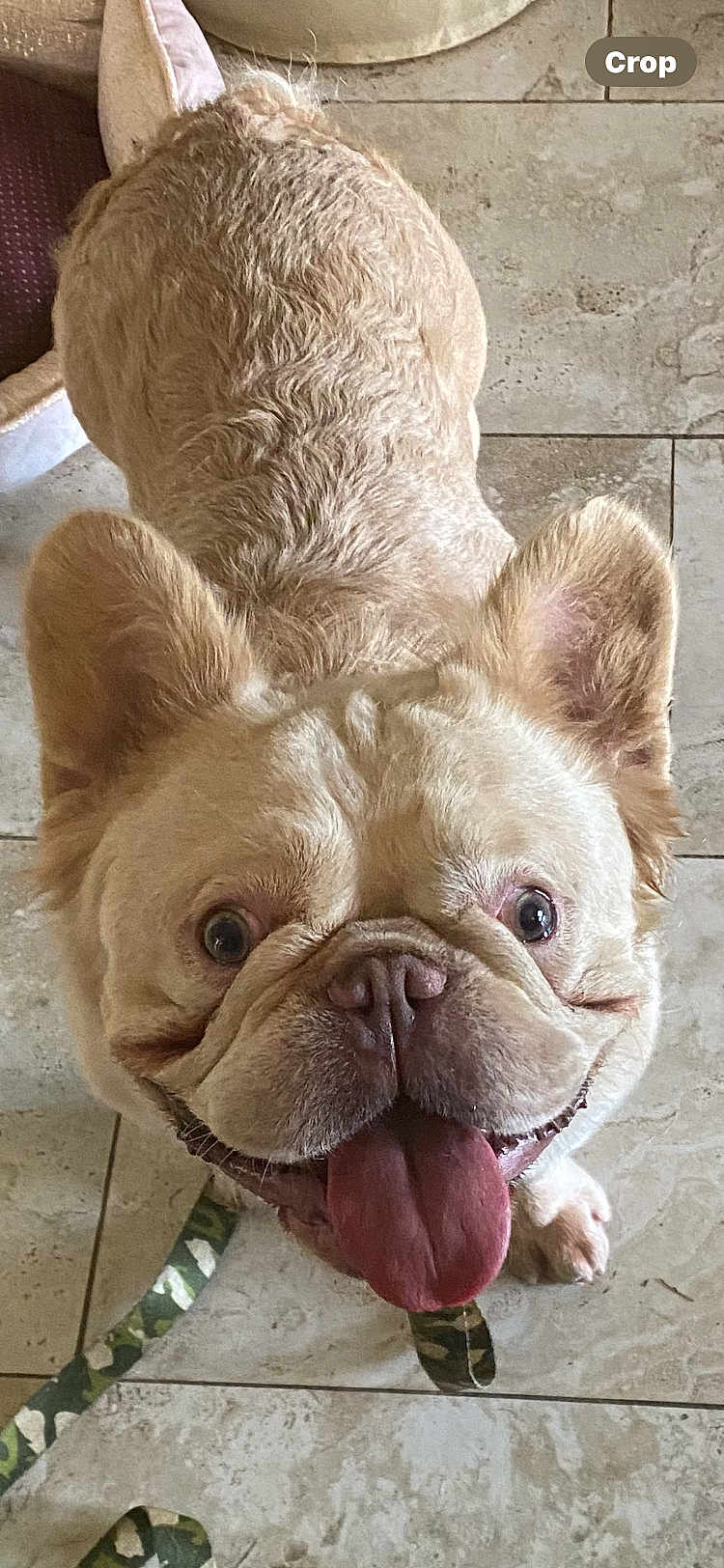 Mufasa