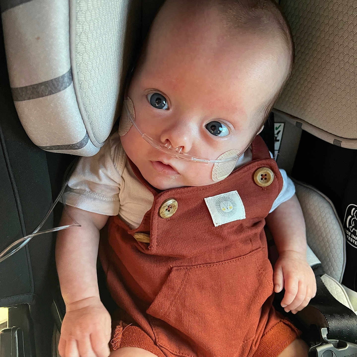 Atticus joined the competition — help win amazing prizes! accessories, baby, belt, bodypart, clothing, couch, cushion, face, finger, furniture, gun, hand, head, homedecor, pants, person, photography, portrait, transportation, weapon