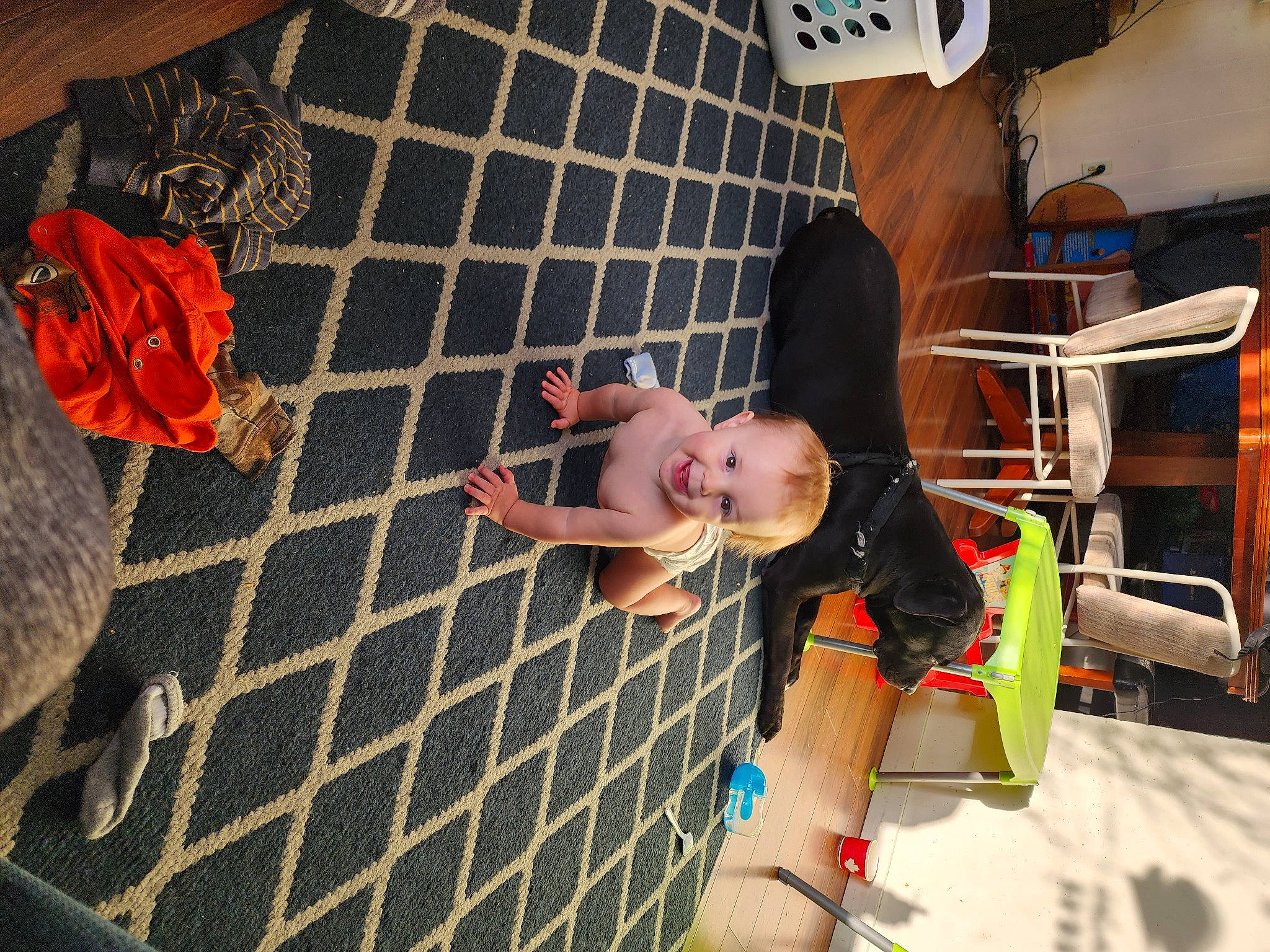 Easton is registered to the contest to win money with this photo: child, floor, flooring, fun, human, human_leg, joy, leisure, pattern, person, play, product, recreation, room, shorts, t_shirt, textile, thigh, toddler, vacation