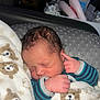 newborn, baby, sleeping, blanket, teddy_bear, striped_clothing, infant, cute, soft_texture, hand, face, closed_eyes, indoor, cozy, portrait, child, peaceful, rest, fingers, warm