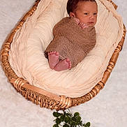 Elijah joined the competition — help win amazing prizes! newborn, baby, infant, basket, blanket, wrapped, sleeping, cozy, soft, fabric, wicker, greenery, leaves, natural, portrait, cute, small, peaceful, child, laying