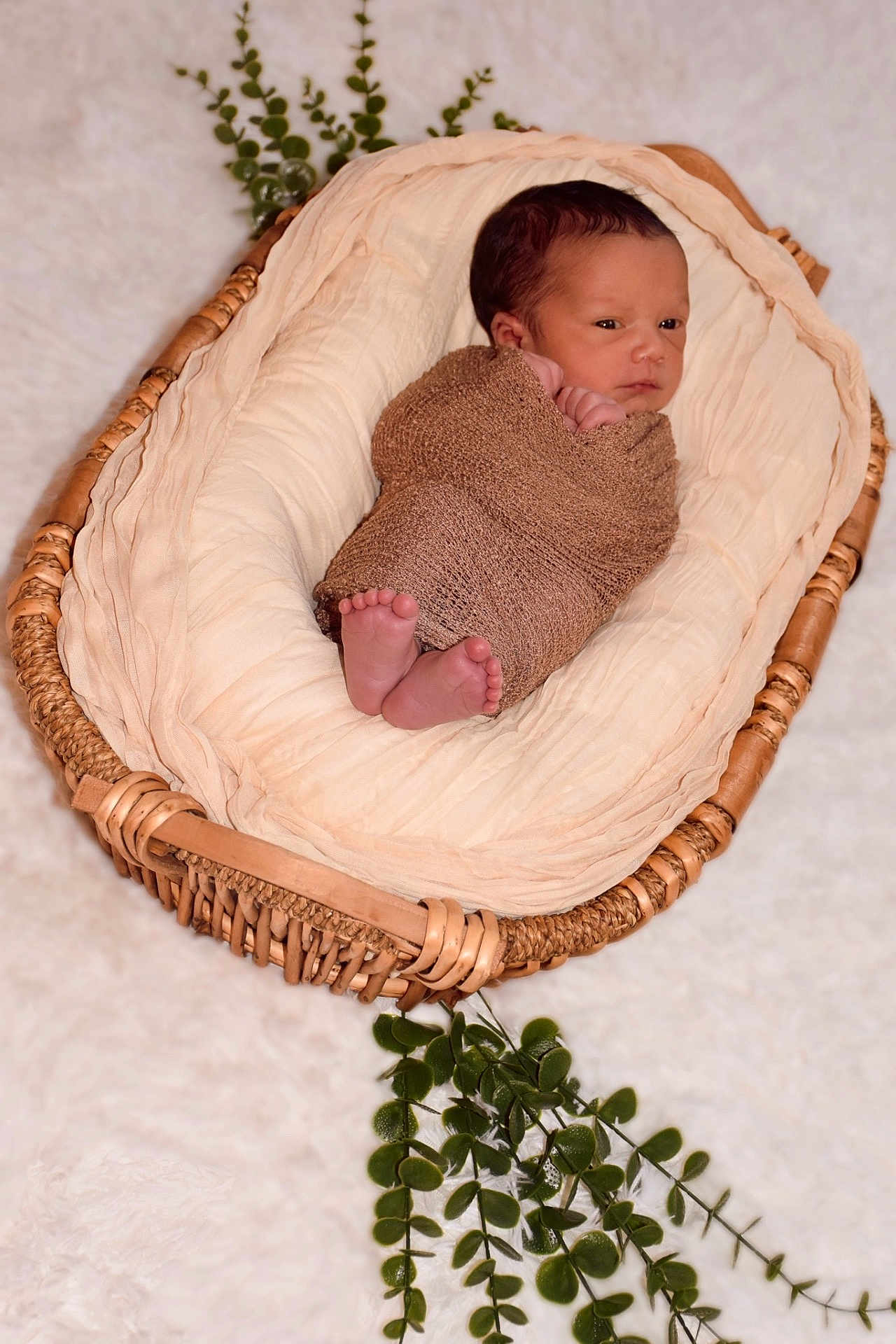 Elijah joined the competition — help win amazing prizes! newborn, baby, infant, basket, blanket, wrapped, sleeping, cozy, soft, fabric, wicker, greenery, leaves, natural, portrait, cute, small, peaceful, child, laying