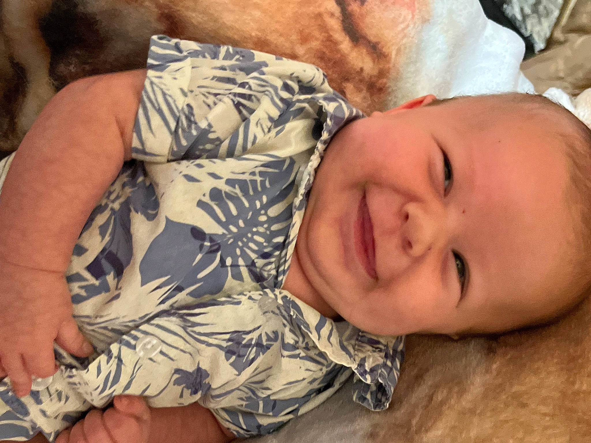 Langston joined the competition — help win amazing prizes! cheek, comfort, eye, face, facial_expression, hair, hand, head, human_body, joy, lip, military_camouflage, mouth, muscle, neck, nose, person, plant, skin, smile