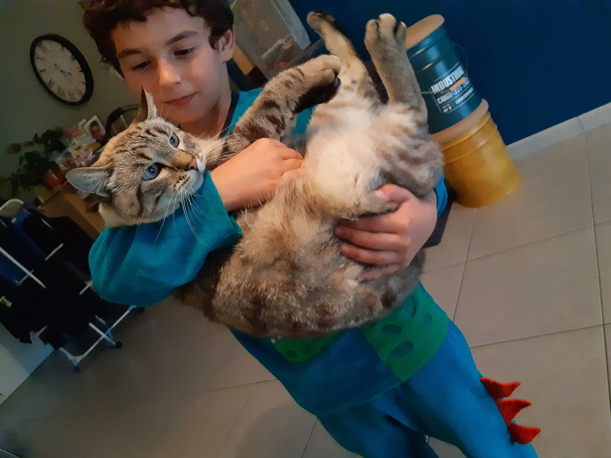 Bob participe au concours pour gagner de l'argent avec cette photo : blue, canidae, chair, child, clock, companion_dog, dog_breed, drinking, fawn, felidae, fur, hand, home_accessories, plastic_bottle, quartz_clock, small_to_medium_sized_cats, sporting_group, stuffed_toy, toy, water_bottle