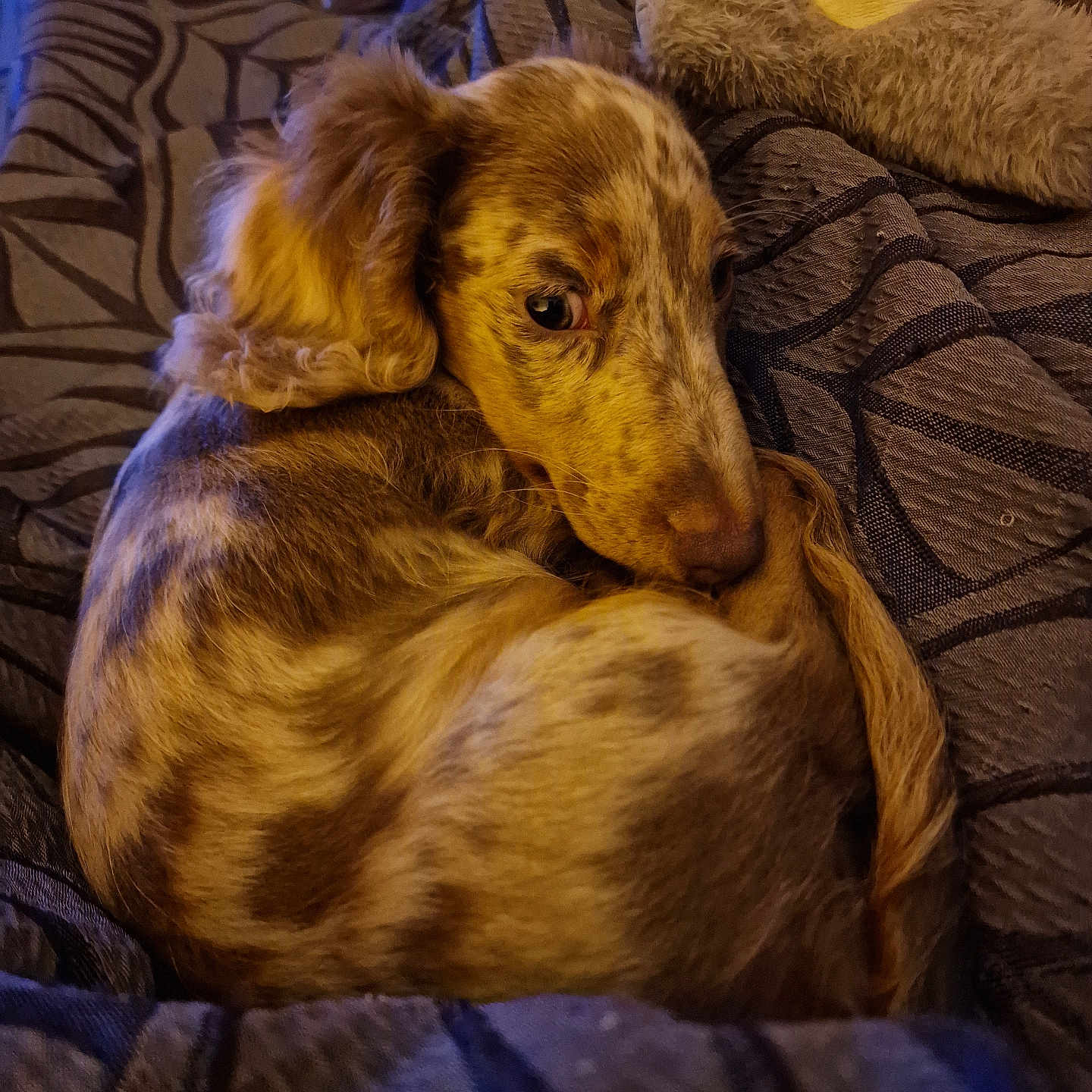 Doby