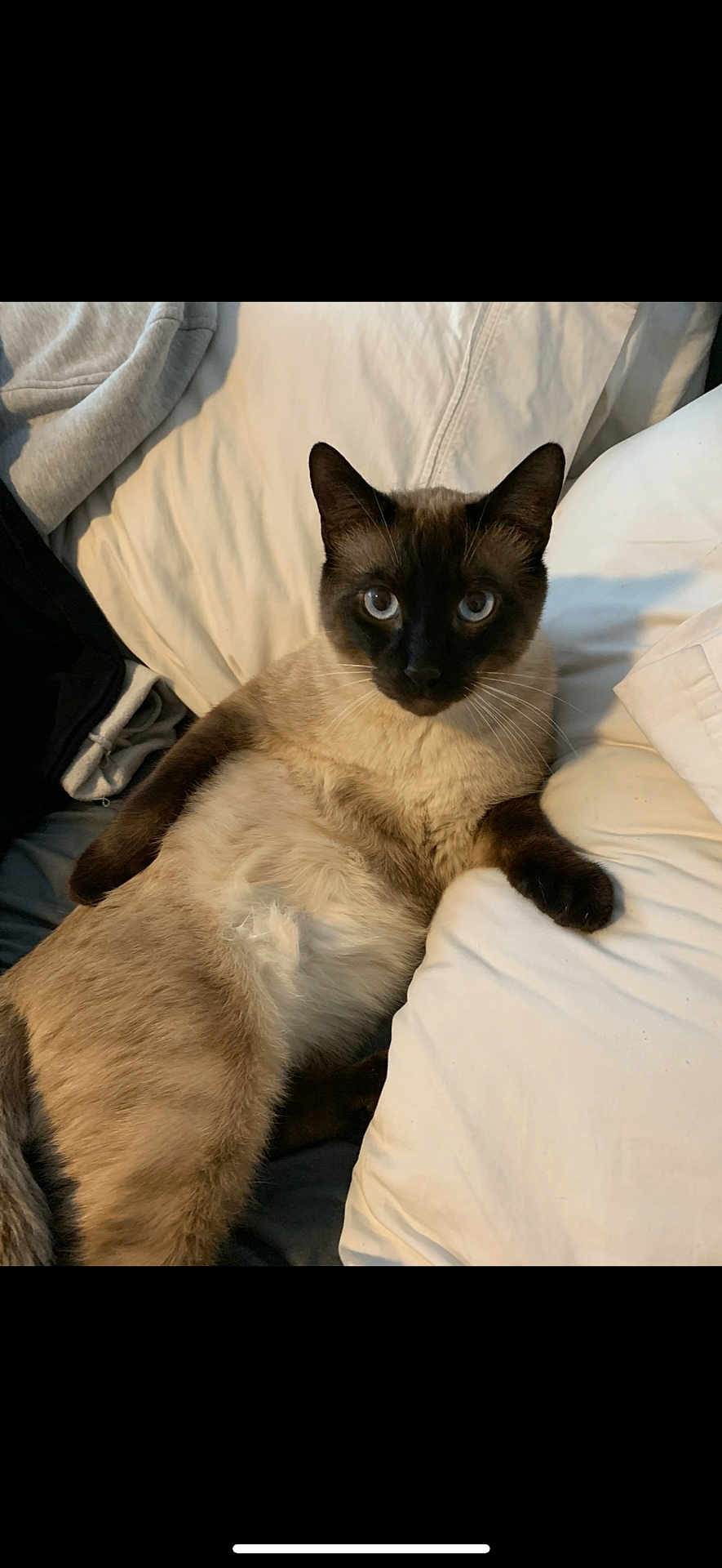 Sam
