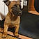 Roxy