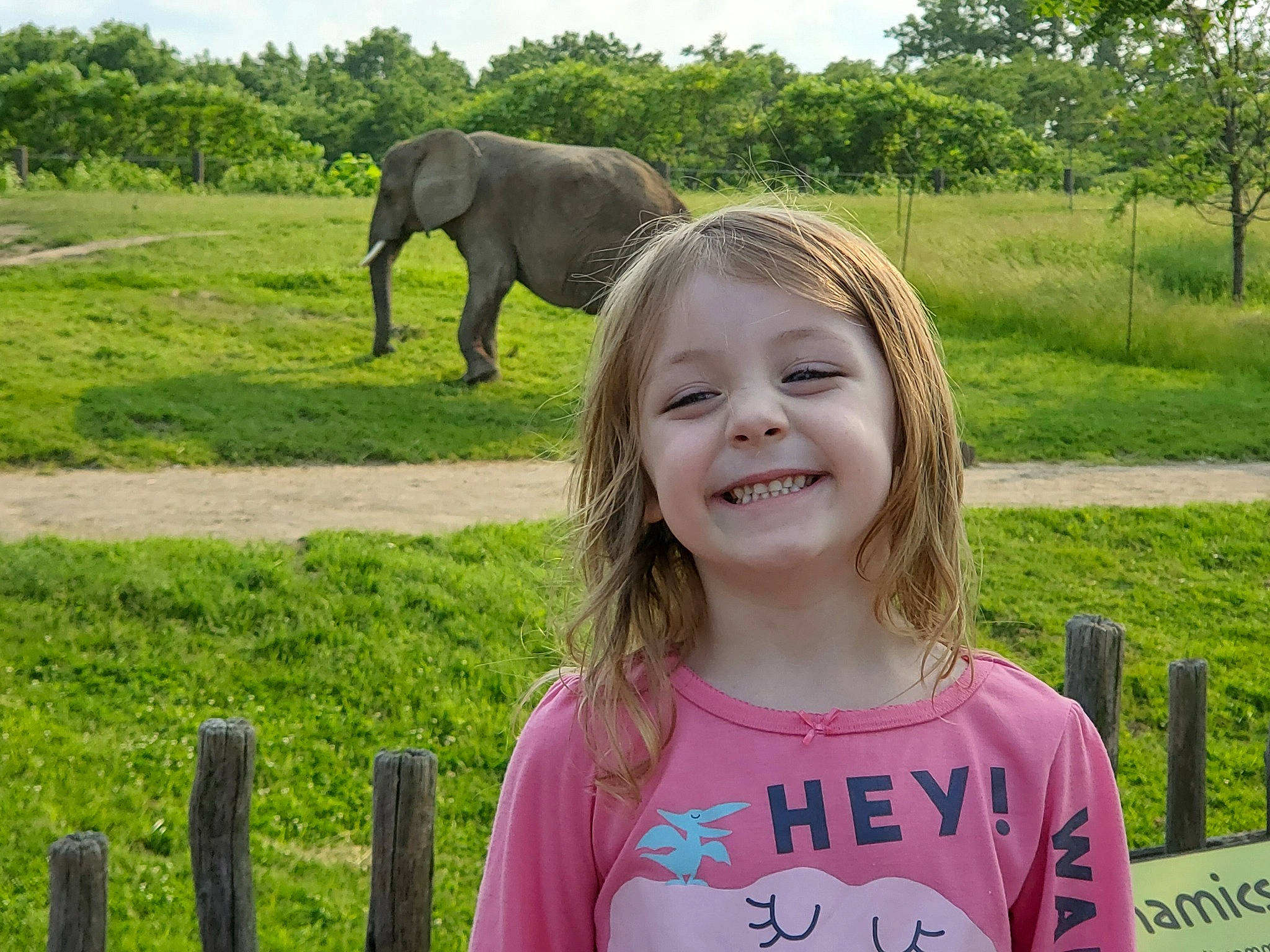 Kynleigh joined the competition — help win amazing prizes! adaptation, child, elephant, elephants_and_mammoths, farm, fawn, fun, grass, happy, head, joy, pasture, person, photography, recreation, skin, smile, vacation, wildlife, working_animal