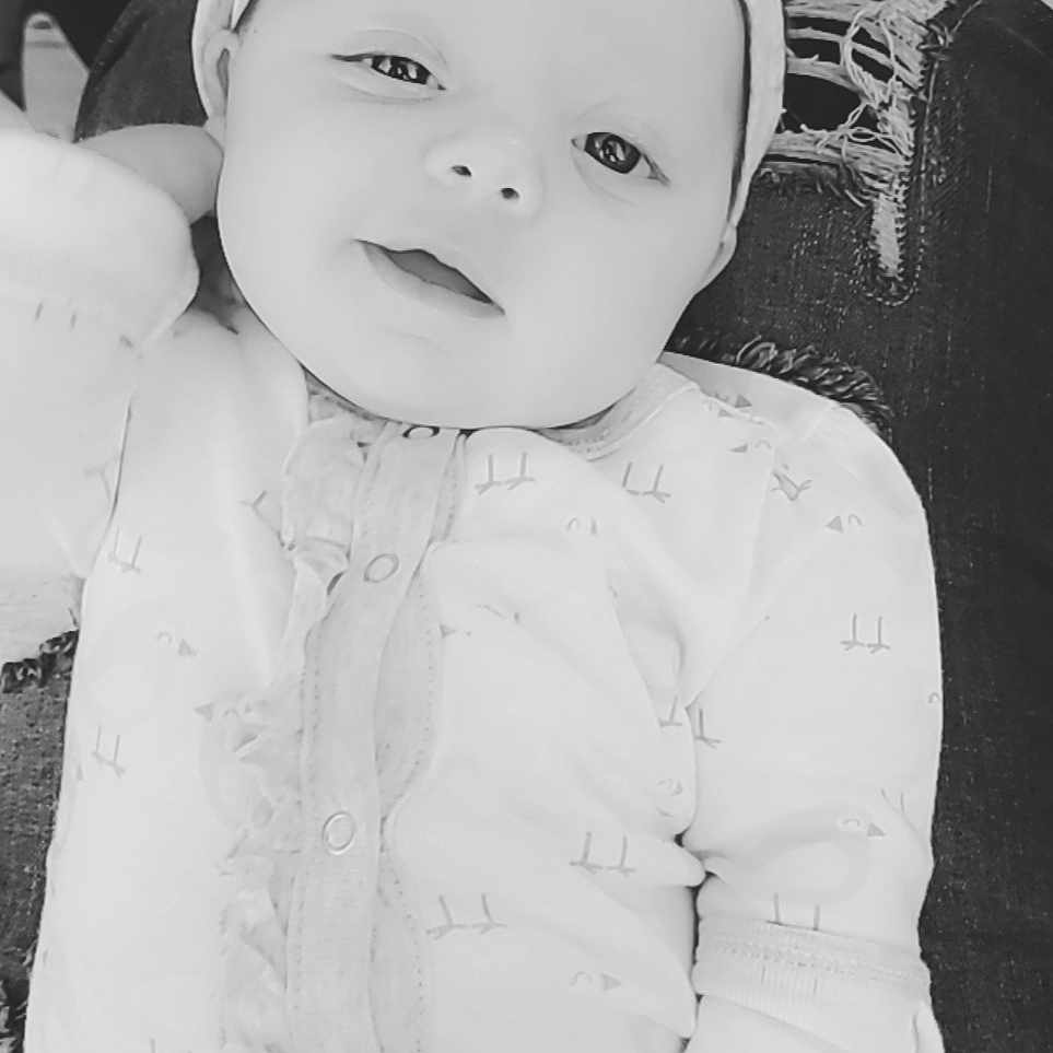 Paisley
