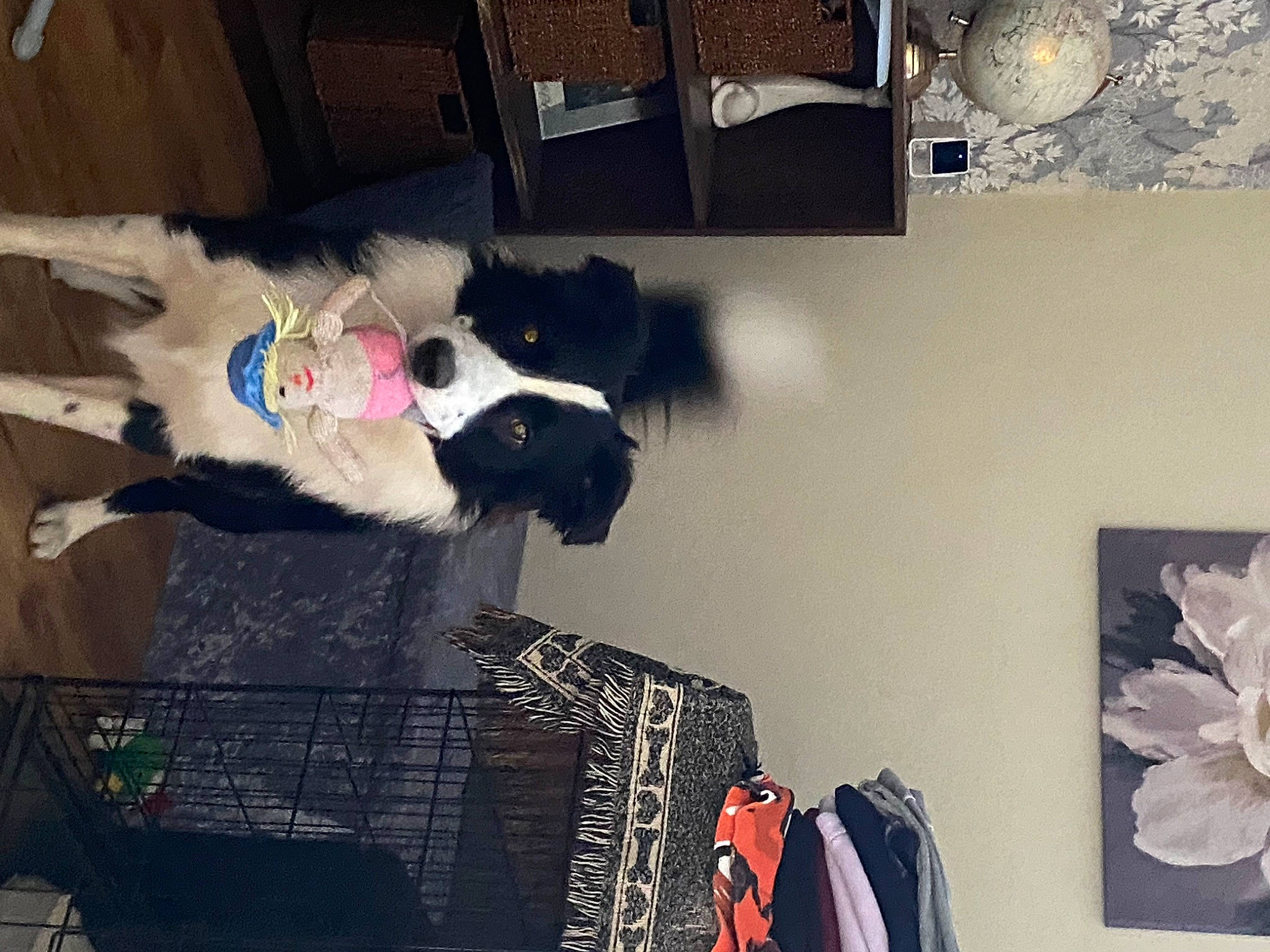 Kado joined the competition — help win amazing prizes! art, carmine, costume, fashion, fashion_design, feather, fictional_character, flower, fur, fur_clothing, paint, pattern, petal, picture_frame, room, stuffed_toy, suit, tail, textile, visual_arts