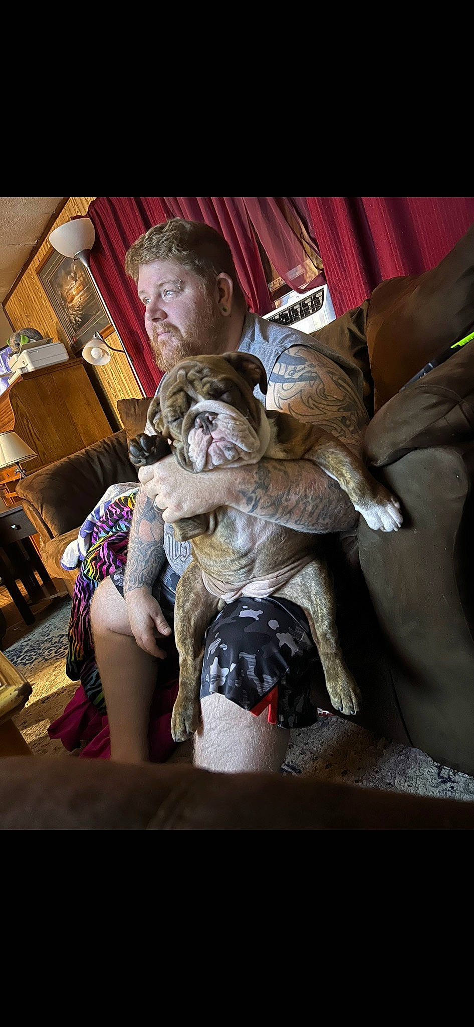 Hunnybun is registered to the contest to win money with this photo: canidae, carmine, chair, comfort, companion_dog, darkness, eyewear, fashion_design, fictional_character, flash_photography, flesh, fun, fur, human_leg, lap, personal_protective_equipment, room, sitting, sporting_group, toy