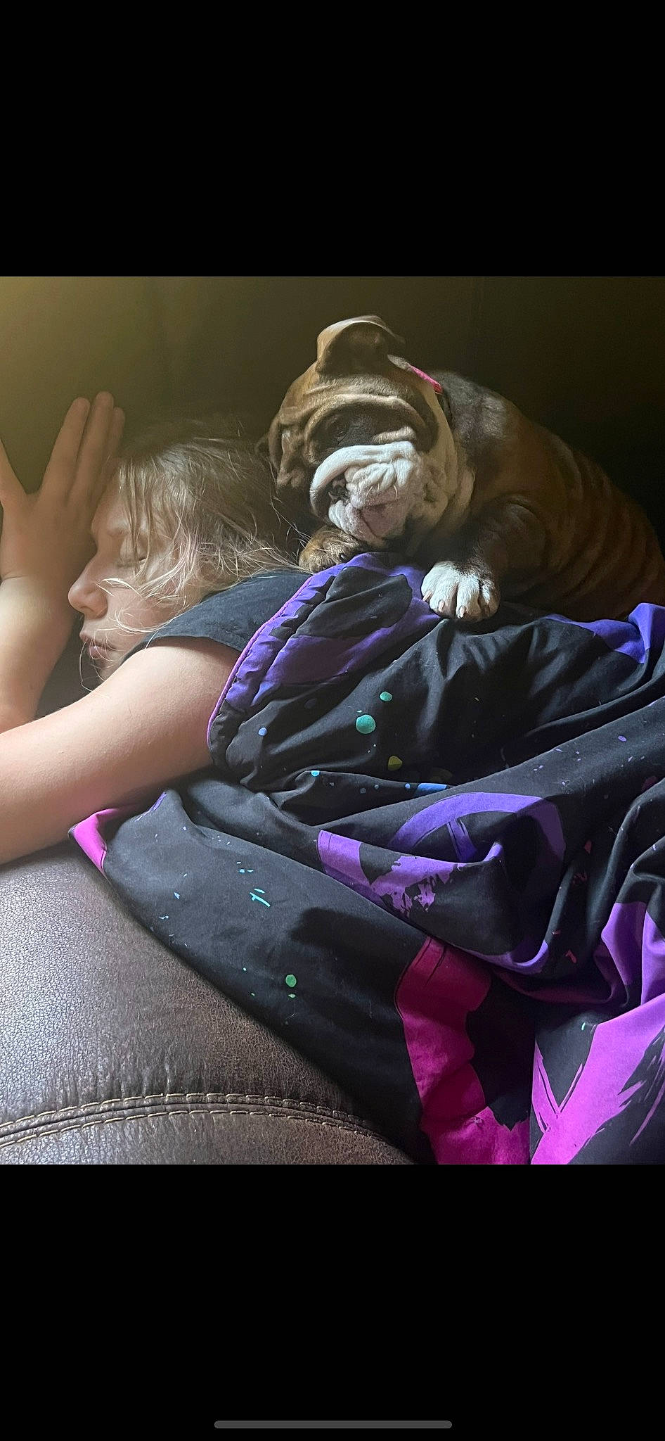 Hunnybun is registered to the contest to win money with this photo: child, comfort, darkness, electric_blue, event, fictional_character, flash_photography, fun, happy, magenta, performance, purple, room, sitting, violet, wrinkle