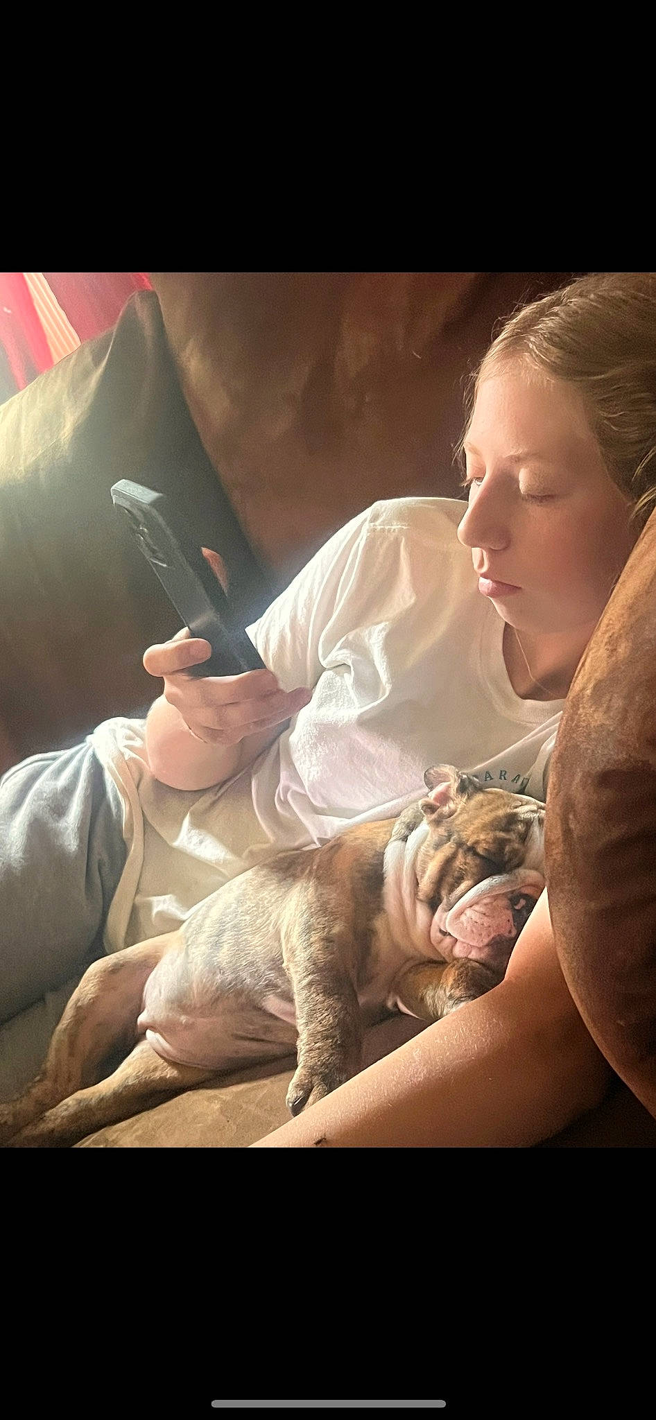 Cinnabun joined the competition — help win amazing prizes! abdomen, arm, cat, comfort, elbow, felidae, flash_photography, flesh, fur, human_leg, knee, lap, medical_procedure, nail, service, sitting, skin, small_to_medium_sized_cats, whiskers, wildlife_biologist