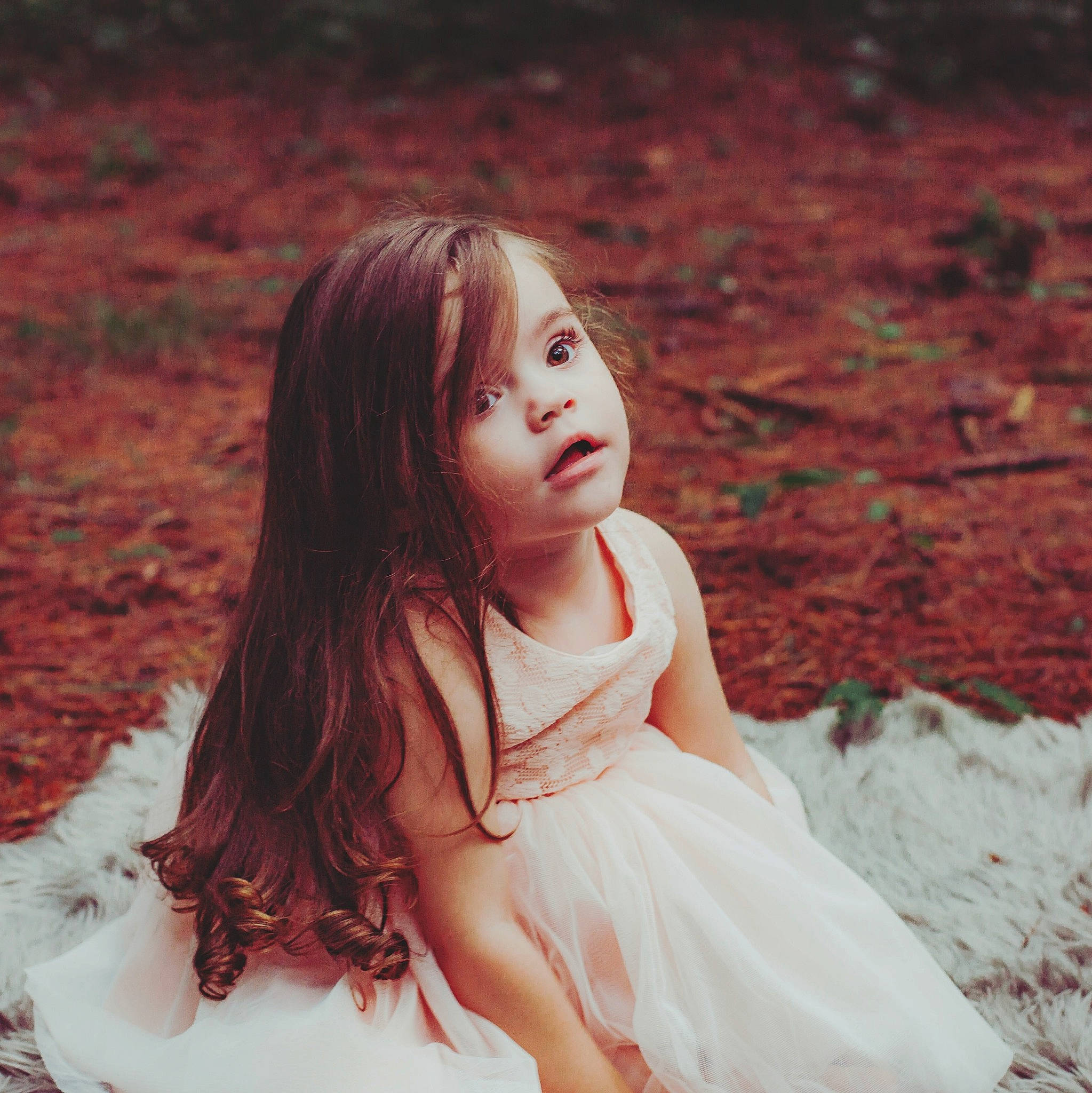 Shyla is registered to the contest to win money with this photo: beauty, brown_hair, child, eye, fun, girl, hair, hairstyle, happiness, human_hair_color, lady, long_hair, person, photo_shoot, photograph, portrait, portrait_photography, skin, smile