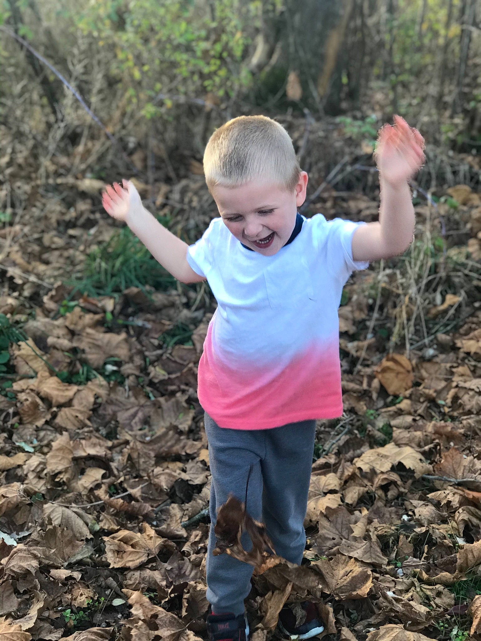 Maysen is registered to the contest to win money with this photo: adaptation, child, forest, fun, gesture, hand, joy, leaf, person, plant, play, smile, soil, toddler, tree, woodland