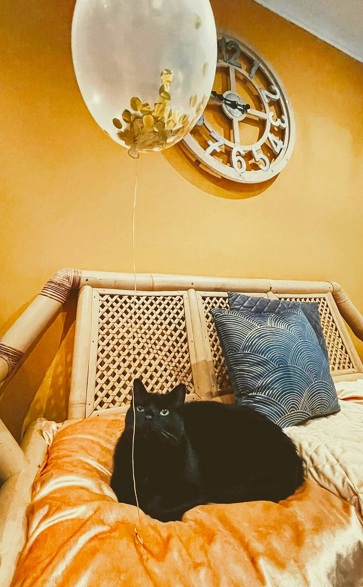 Mencia a rejoint le concours — aidez-le/la à gagner de superbes lots ! brown, carnivore, cat, chandelier, circle, comfort, felidae, hardwood, interior_design, light, linens, platter, product, room, small_to_medium_sized_cats, table, tints_and_shades, tire, wheel, wood