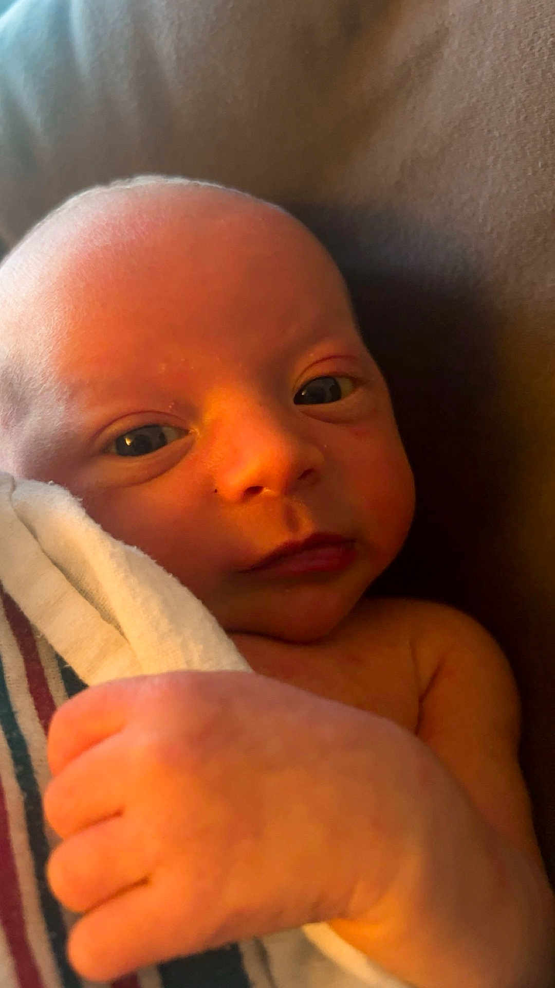 Luxton joined the competition — help win amazing prizes! baby, newborn, infant, face, hand, blanket, wrapped, skin, closeup, portrait, cute, sleepy, soft, warm_light, indoors, child, toddler, newborn_baby, resting, peaceful