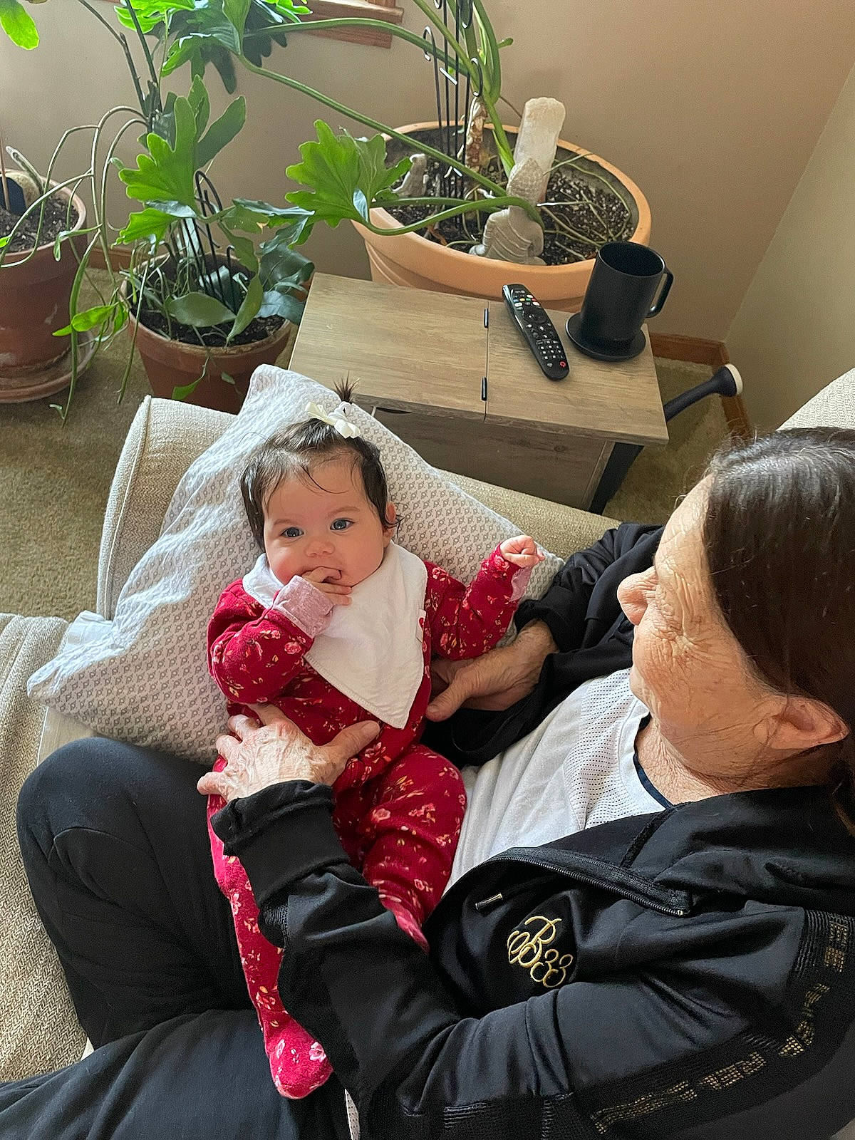 Madeleine joined the competition — help win amazing prizes! child, comfort, couch, event, flowerpot, fun, fur, happy, holiday, houseplant, lap, living_room, magenta, person, plant, room, sitting, throw_pillow, toddler, vacation