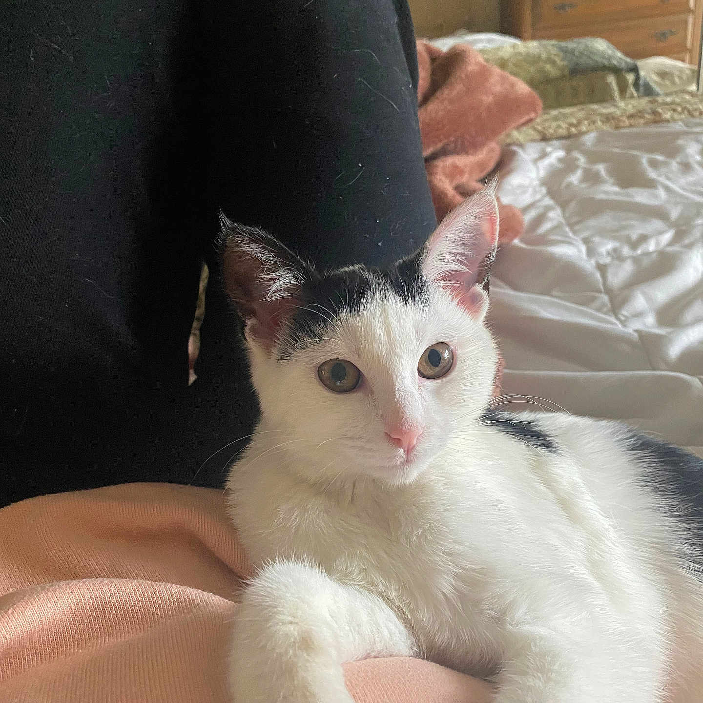 Rosie