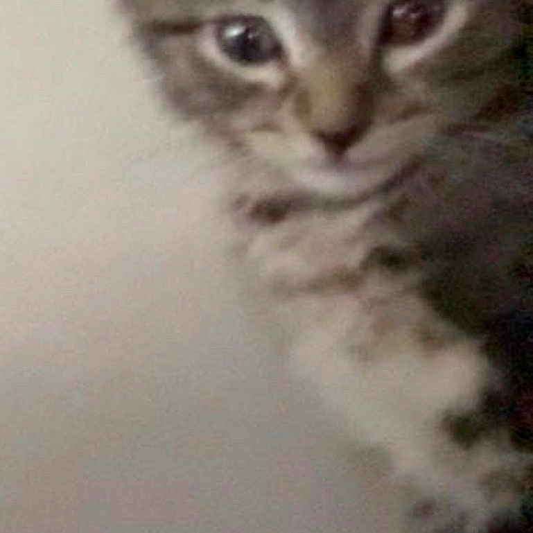 Tobias