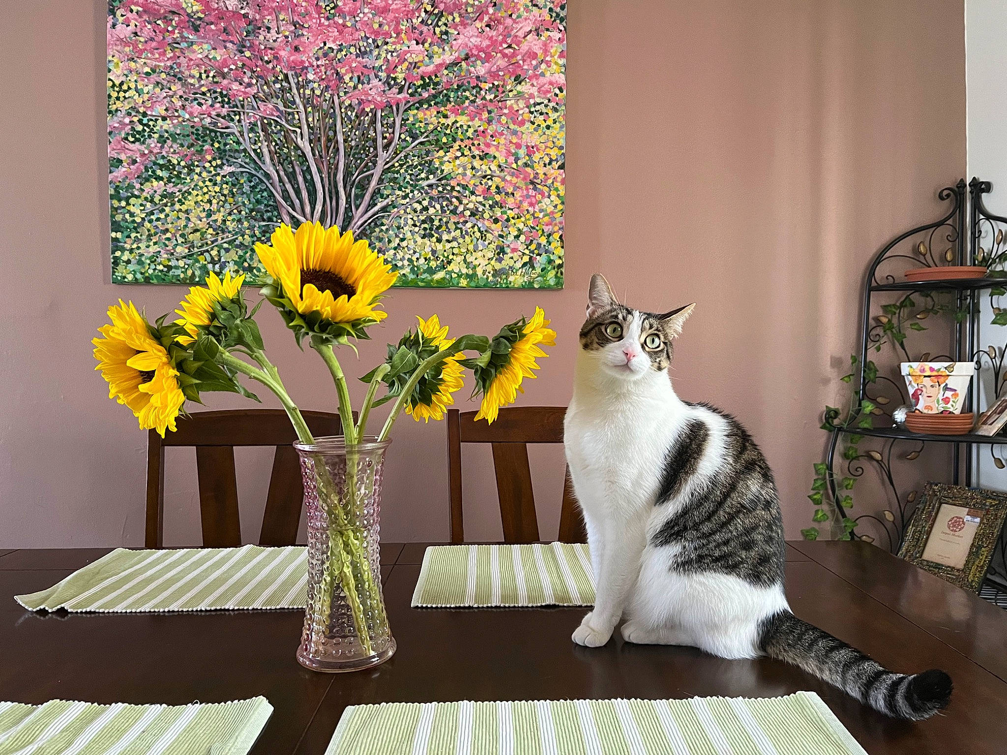Indica joined the competition — help win amazing prizes! art, bouquet, carnivore, cat, felidae, flower, flower_arranging, furniture, green, interior_design, linens, petal, picture_frame, plant, rectangle, room, table, vase, whiskers, window