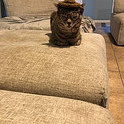 Ellie joined the competition — help win amazing prizes! cat, tabby, glasses, hat, couch, indoor, furniture, pet, cozy, knitted, beige, relaxed, animal, cute, portrait, sitting, living_room, tile_floor, accessory, domestic