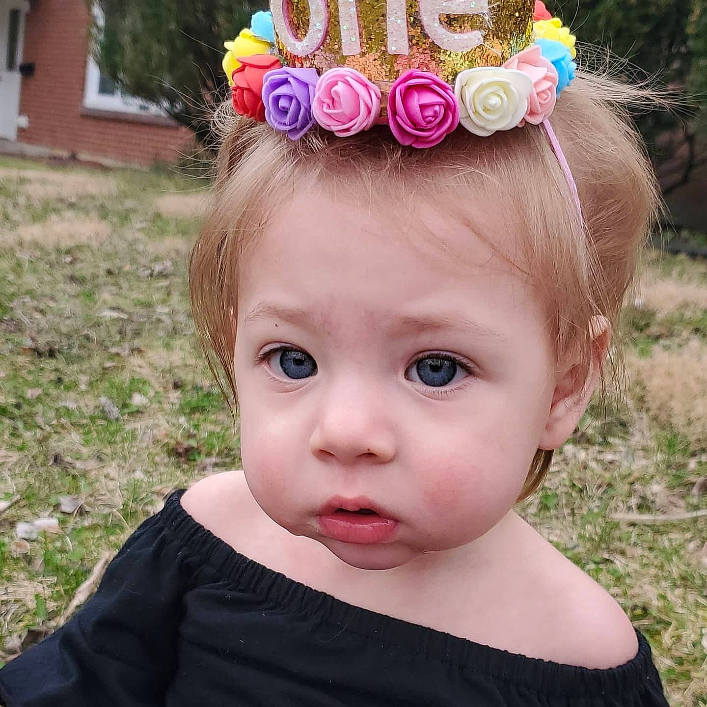 Felicity is registered to the contest to win money with this photo: baby_toddler_clothing, cheek, chin, cool, dress, ear, eyebrow, eyelash, grass, hair, happy, head, headgear, headpiece, lip, person, pink, plant, skin, toddler