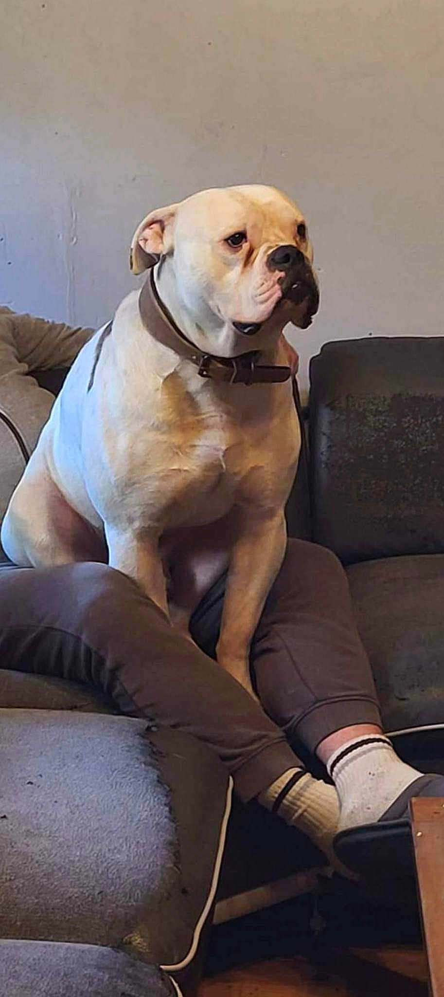 Sanka