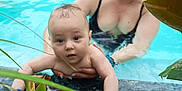 Luca Nicolae is registered to the contest to win money with this photo: baby, woman, swimming_pool, water, people, child, holding, smiling, leaf, nature, outdoor, reaching, adult, crowd, swimwear, blue_water, skin, family, summer, play