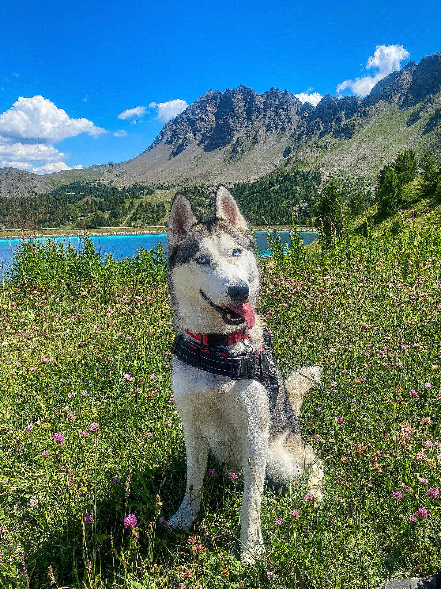 Fenrir